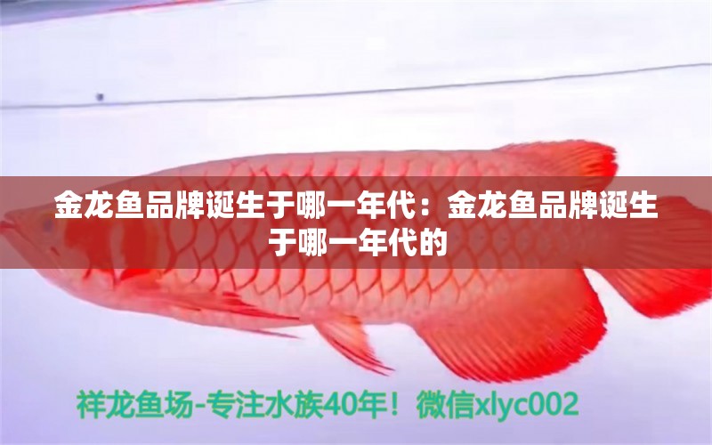 金龍魚(yú)品牌誕生于哪一年代：金龍魚(yú)品牌誕生于哪一年代的