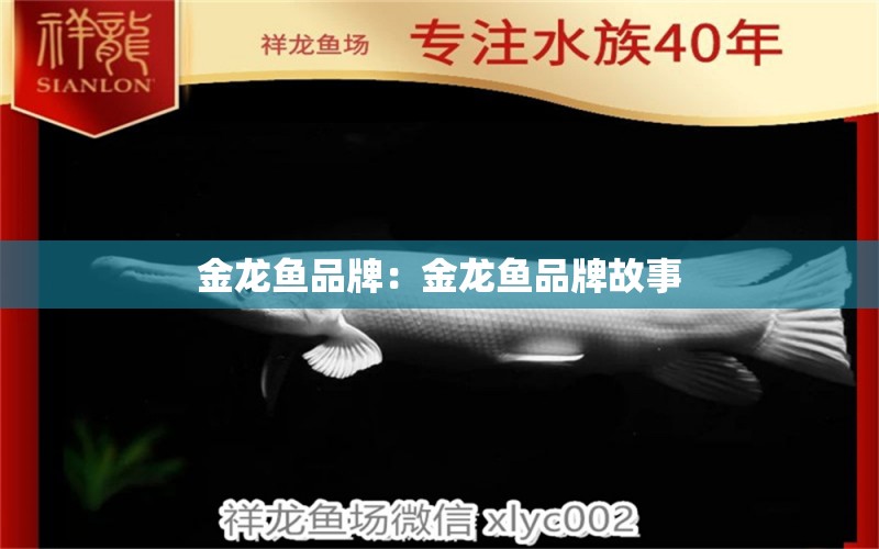 金龍魚品牌：金龍魚品牌故事 廣州龍魚批發(fā)市場(chǎng)