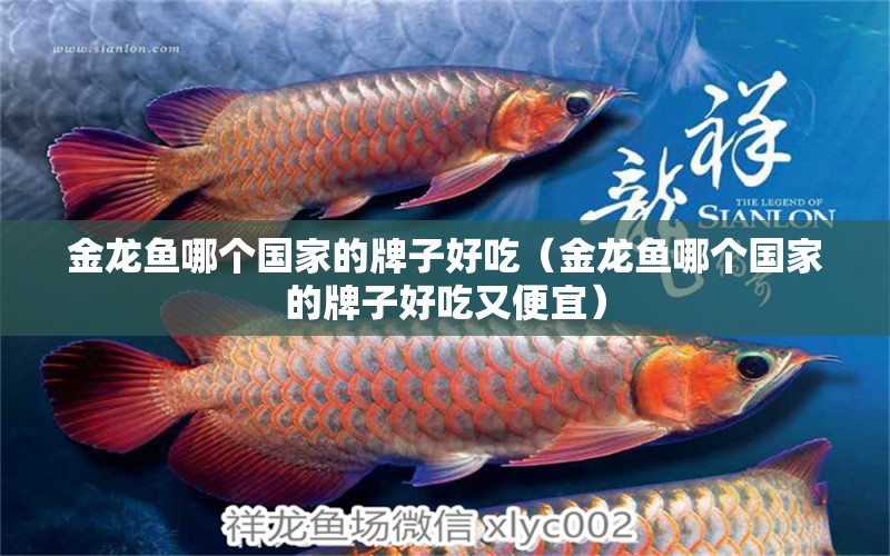 金龍魚哪個國家的牌子好吃（金龍魚哪個國家的牌子好吃又便宜）