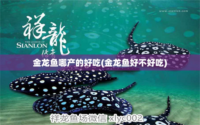 金龍魚哪產(chǎn)的好吃(金龍魚好不好吃) 速倍妥魚糧魚藥