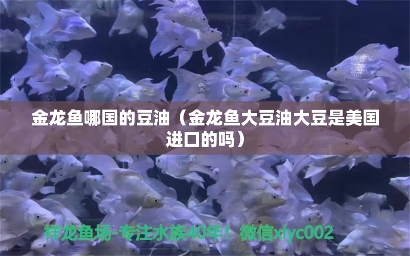 金龍魚哪國的豆油（金龍魚大豆油大豆是美國進(jìn)口的嗎）