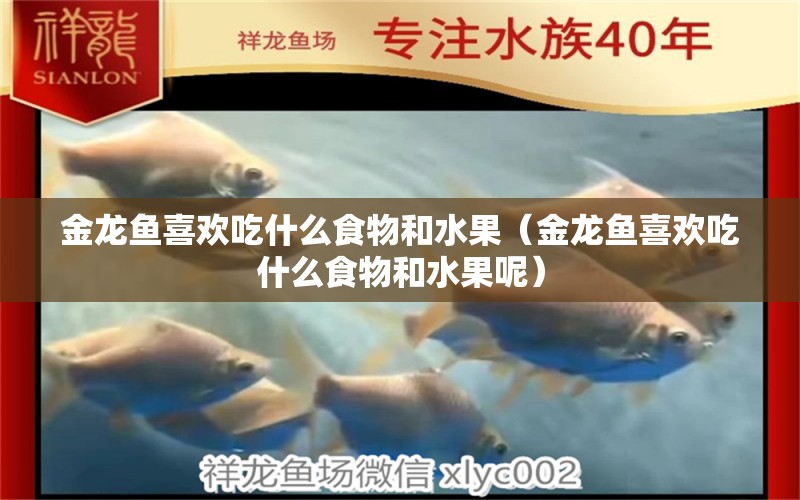 金龍魚喜歡吃什么食物和水果（金龍魚喜歡吃什么食物和水果呢） 麥肯斯銀版魚