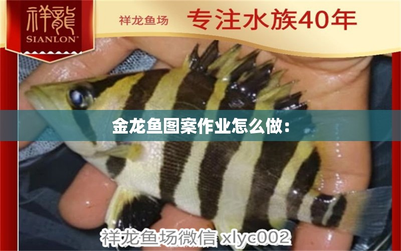 金龍魚圖案作業(yè)怎么做：