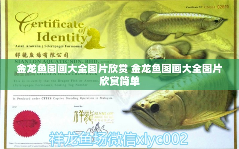 金龍魚圖畫大全圖片欣賞 金龍魚圖畫大全圖片欣賞簡單 養(yǎng)魚的好處