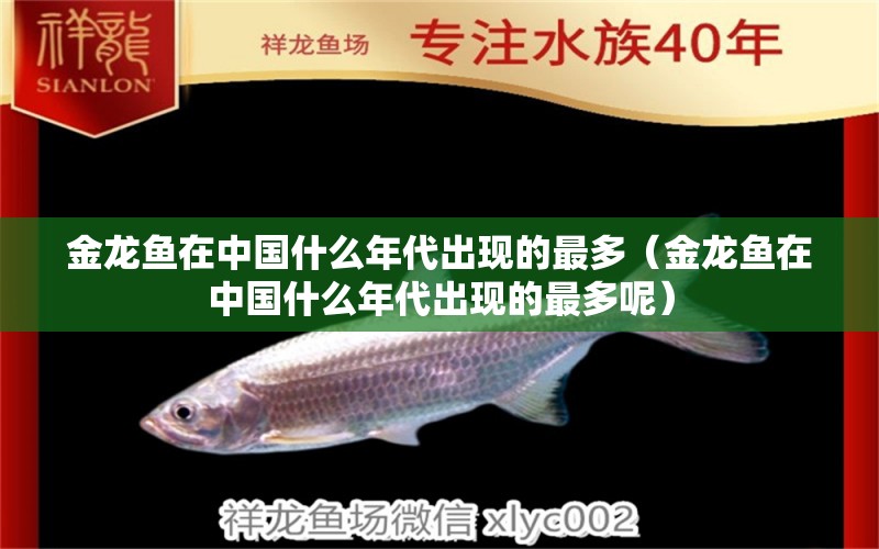 金龍魚在中國什么年代出現(xiàn)的最多（金龍魚在中國什么年代出現(xiàn)的最多呢）