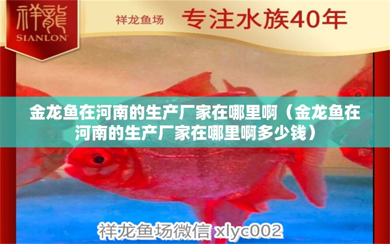 金龍魚在河南的生產(chǎn)廠家在哪里?。ń瘕堲~在河南的生產(chǎn)廠家在哪里啊多少錢）