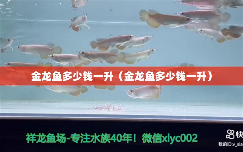 金龍魚多少錢一升（金龍魚多少錢一升）