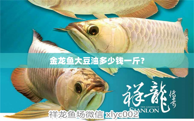 金龍魚大豆油多少錢一斤？