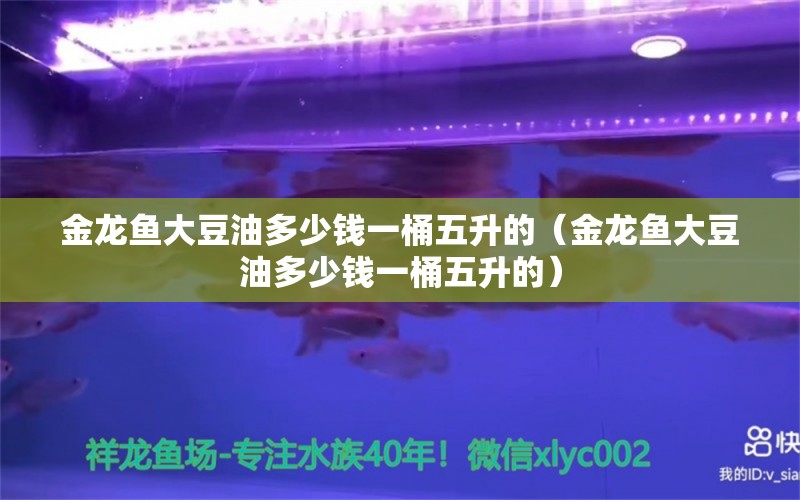 金龍魚大豆油多少錢一桶五升的（金龍魚大豆油多少錢一桶五升的） 野彩魚