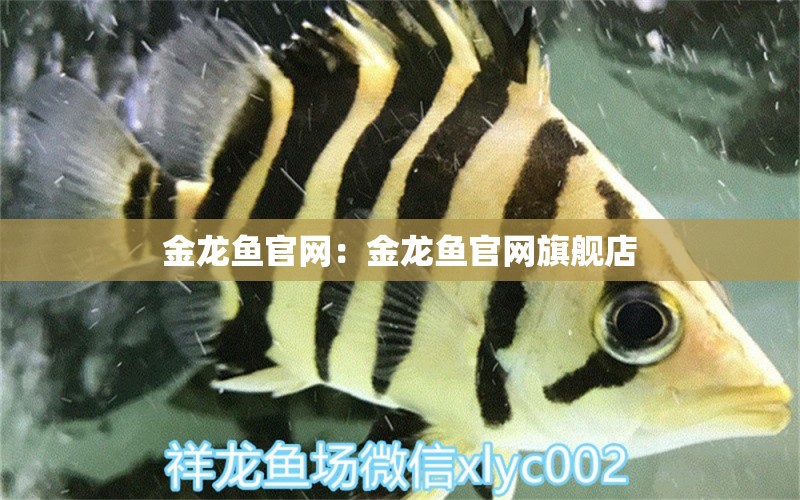 金龍魚官網(wǎng)：金龍魚官網(wǎng)旗艦店