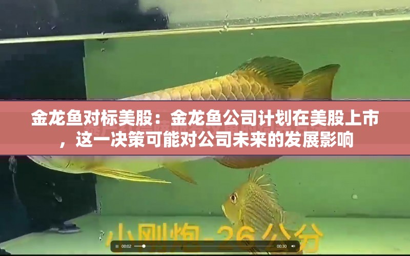 金龍魚對標(biāo)美股：金龍魚公司計劃在美股上市，這一決策可能對公司未來的發(fā)展影響 水族問答 第1張