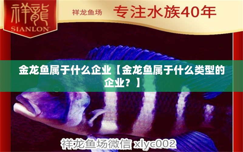 金龍魚屬于什么企業(yè)【金龍魚屬于什么類型的企業(yè)？】 水族問答 第2張