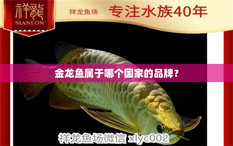 金龍魚屬于哪個(gè)國(guó)家的品牌？