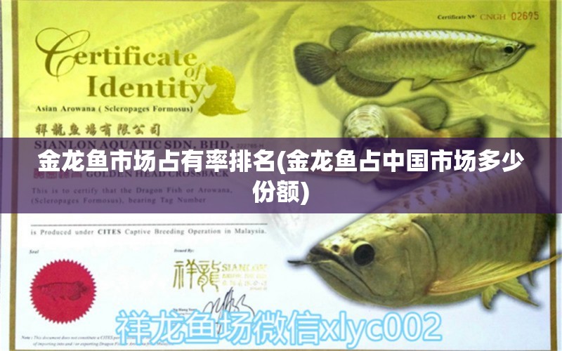 金龍魚市場占有率排名(金龍魚占中國市場多少份額) 黃金鴨嘴魚