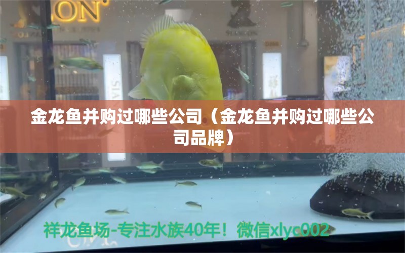 金龍魚并購過哪些公司（金龍魚并購過哪些公司品牌） 委內(nèi)瑞拉奧里諾三間魚