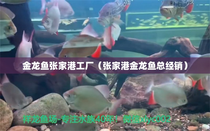 金龍魚張家港工廠（張家港金龍魚總經(jīng)銷）