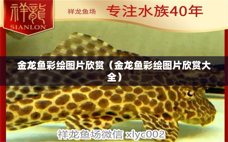 金龍魚彩繪圖片欣賞（金龍魚彩繪圖片欣賞大全） 量子養(yǎng)魚技術(shù)