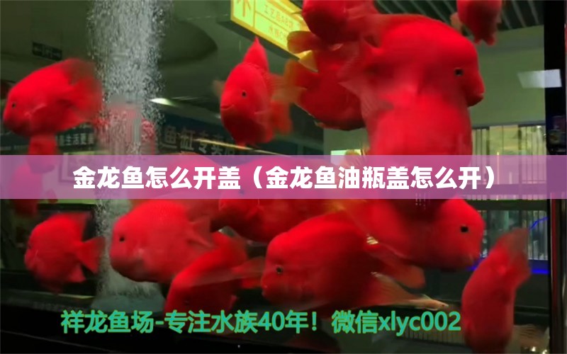 金龍魚怎么開(kāi)蓋（金龍魚油瓶蓋怎么開(kāi)） 玫瑰銀版魚