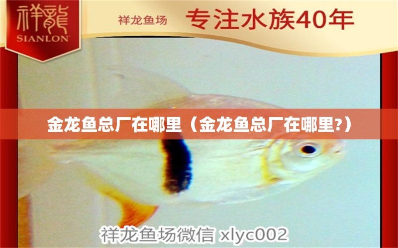 金龍魚總廠在哪里（金龍魚總廠在哪里?）