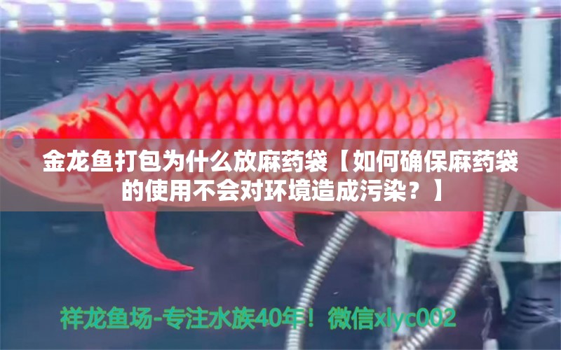 金龍魚打包為什么放麻藥袋【如何確保麻藥袋的使用不會對環(huán)境造成污染？】 水族問答 第1張