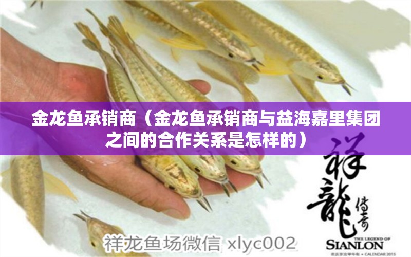 金龍魚(yú)承銷(xiāo)商（金龍魚(yú)承銷(xiāo)商與益海嘉里集團(tuán)之間的合作關(guān)系是怎樣的）