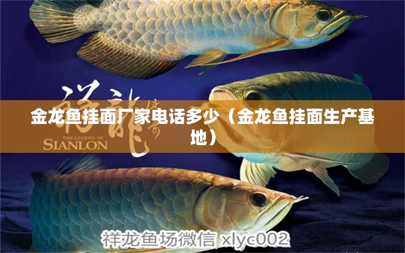 金龍魚掛面廠家電話多少（金龍魚掛面生產(chǎn)基地） 電鰻