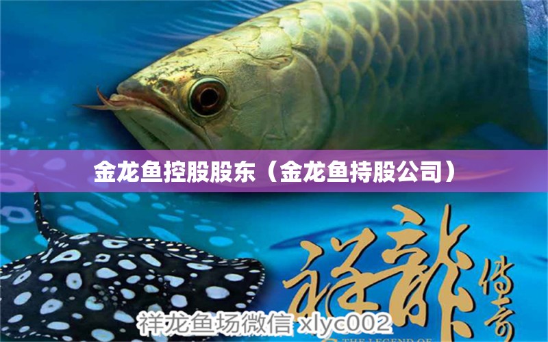 金龍魚控股股東（金龍魚持股公司） 福虎/異型虎魚/純色虎魚