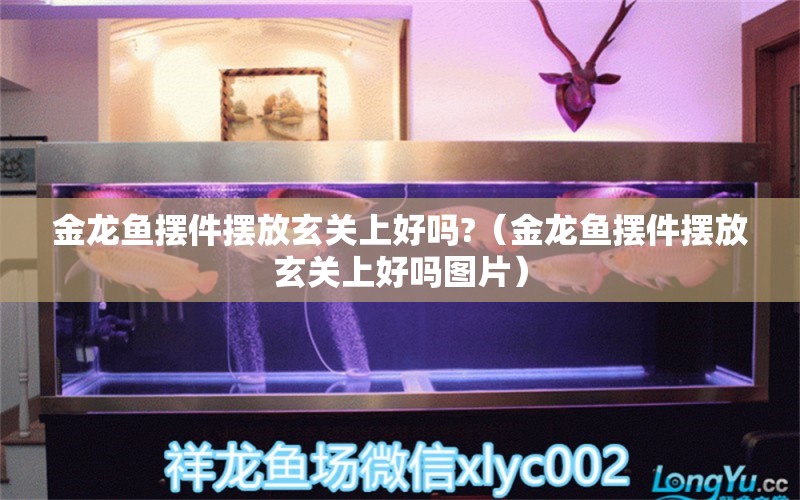 金龍魚擺件擺放玄關上好嗎?（金龍魚擺件擺放玄關上好嗎圖片）