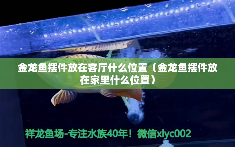 金龍魚擺件放在客廳什么位置（金龍魚擺件放在家里什么位置）