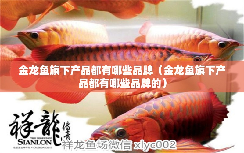 金龍魚旗下產(chǎn)品都有哪些品牌（金龍魚旗下產(chǎn)品都有哪些品牌的） 養(yǎng)魚的好處