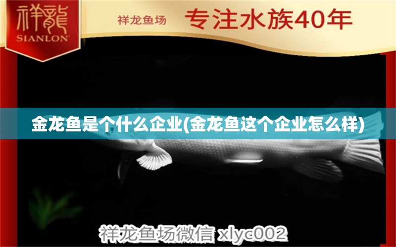 金龍魚是個什么企業(yè)(金龍魚這個企業(yè)怎么樣) 祥龍水族護理水