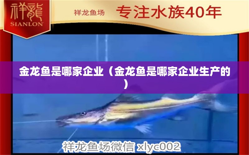 金龍魚(yú)是哪家企業(yè)（金龍魚(yú)是哪家企業(yè)生產(chǎn)的）