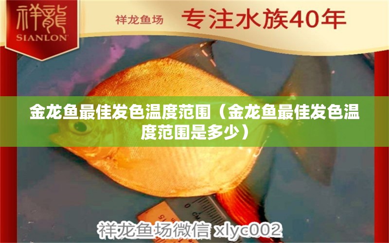 金龍魚最佳發(fā)色溫度范圍（金龍魚最佳發(fā)色溫度范圍是多少）