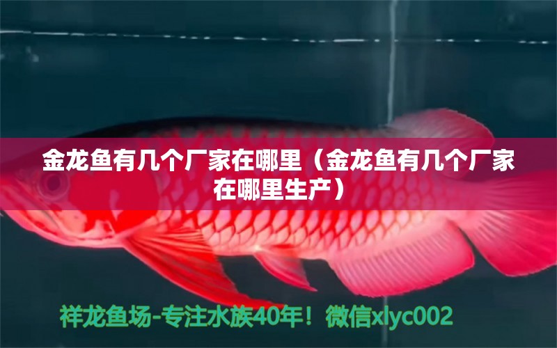 金龍魚有幾個廠家在哪里（金龍魚有幾個廠家在哪里生產(chǎn)）