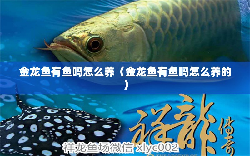 金龍魚(yú)有魚(yú)嗎怎么養(yǎng)（金龍魚(yú)有魚(yú)嗎怎么養(yǎng)的） 觀賞魚(yú)水族批發(fā)市場(chǎng)