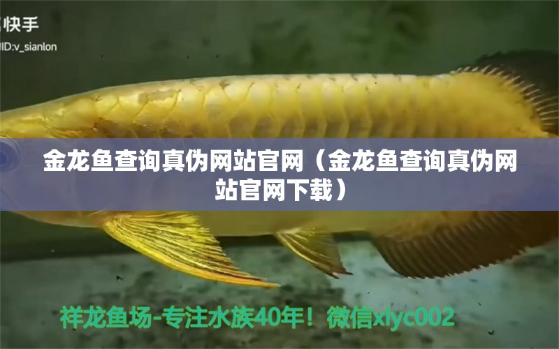 金龍魚(yú)查詢真?zhèn)尉W(wǎng)站官網(wǎng)（金龍魚(yú)查詢真?zhèn)尉W(wǎng)站官網(wǎng)下載） 觀賞魚(yú)市場(chǎng)（混養(yǎng)魚(yú)）