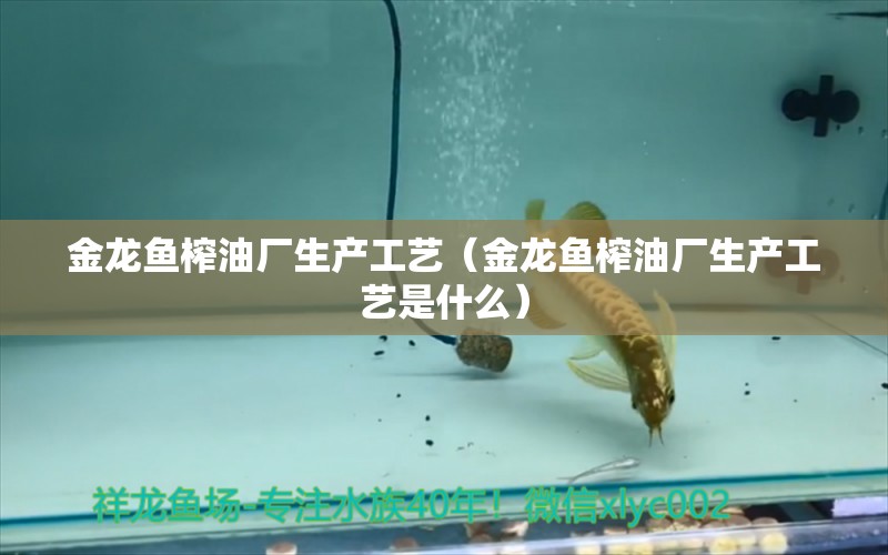 金龍魚榨油廠生產(chǎn)工藝（金龍魚榨油廠生產(chǎn)工藝是什么） 觀賞魚市場（混養(yǎng)魚）