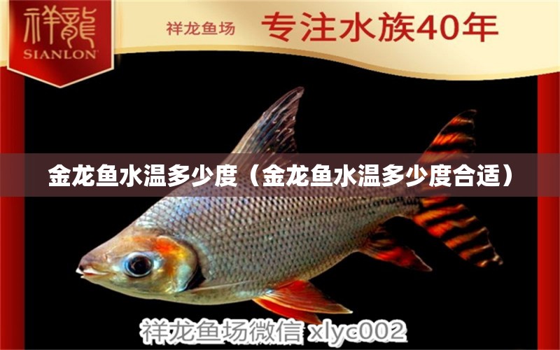 金龍魚水溫多少度（金龍魚水溫多少度合適）