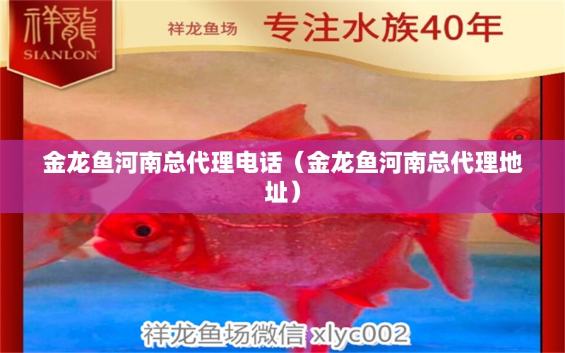 金龍魚河南總代理電話（金龍魚河南總代理地址）