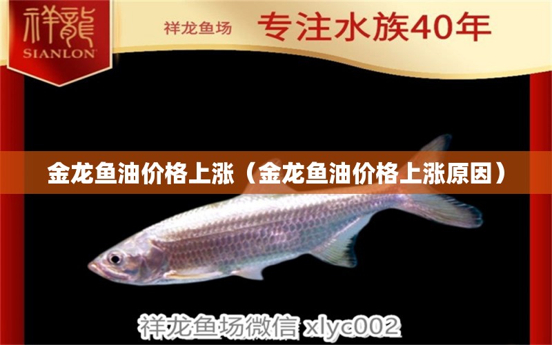 金龍魚油價(jià)格上漲（金龍魚油價(jià)格上漲原因）