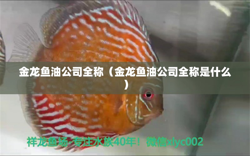 金龍魚油公司全稱（金龍魚油公司全稱是什么）