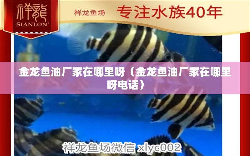 金龍魚油廠家在哪里呀（金龍魚油廠家在哪里呀電話）