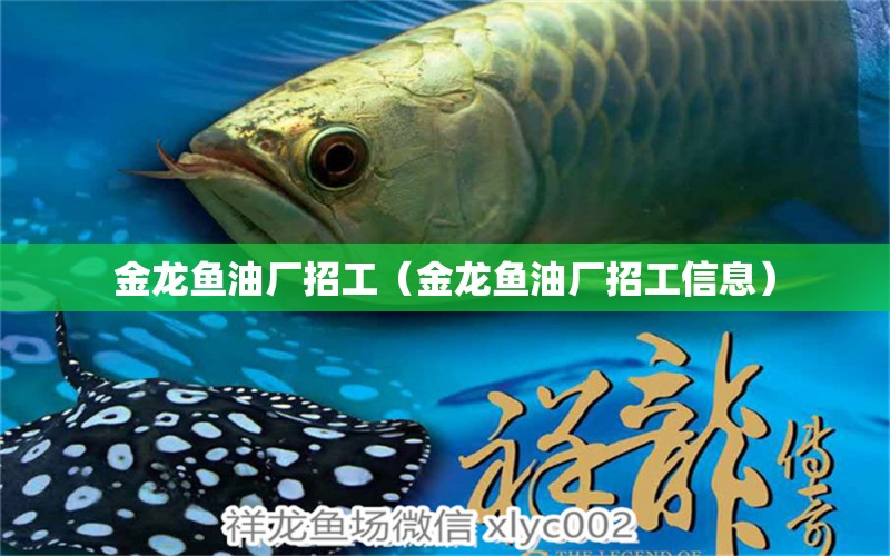 金龍魚油廠招工（金龍魚油廠招工信息） 藍帆三間魚