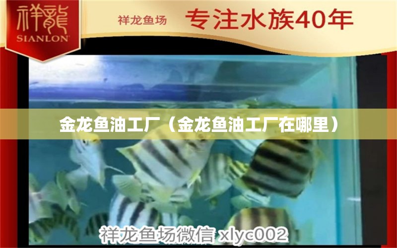 金龍魚油工廠（金龍魚油工廠在哪里） 祥龍水族醫(yī)院