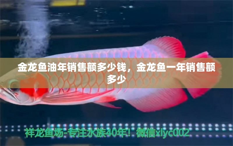 金龍魚油年銷售額多少錢，金龍魚一年銷售額多少 觀賞魚 第1張