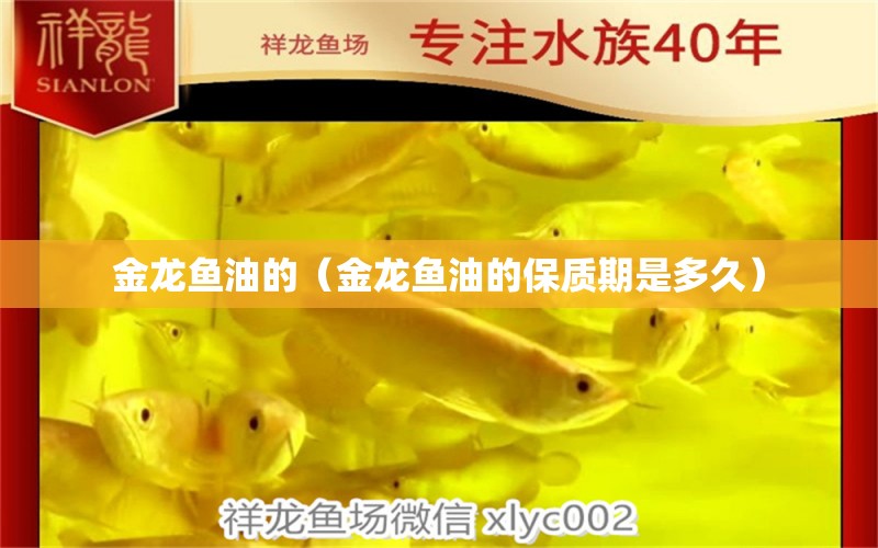 金龍魚油的（金龍魚油的保質(zhì)期是多久）