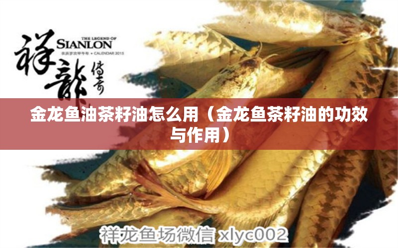 金龍魚油茶籽油怎么用（金龍魚茶籽油的功效與作用） 觀賞魚進(jìn)出口