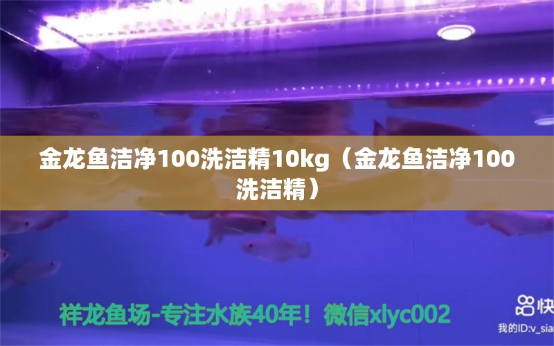 金龍魚潔凈100洗潔精10kg（金龍魚潔凈100洗潔精）