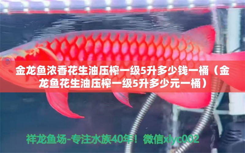 金龍魚濃香花生油壓榨一級5升多少錢一桶（金龍魚花生油壓榨一級5升多少元一桶）