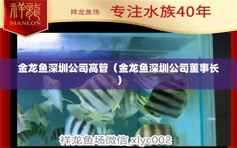 金龍魚深圳公司高管（金龍魚深圳公司董事長）